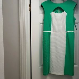 NWT Green/White Dressbarn brand Dress Size 14